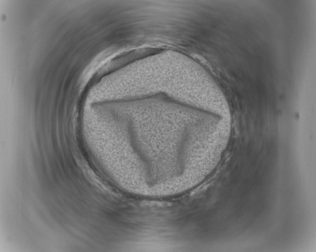 X0000085820242200704132019