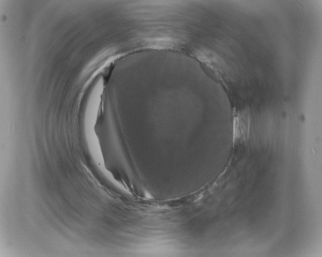 X0000085820243200704132019