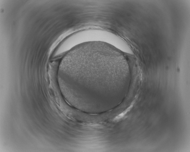 X0000085820244200704132019