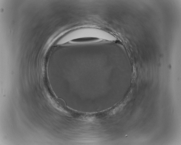 X0000085820247200704132019
