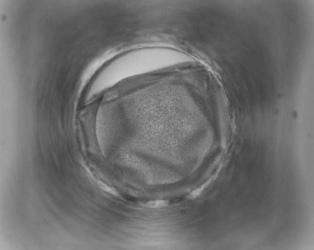 X0000085820248200704132019