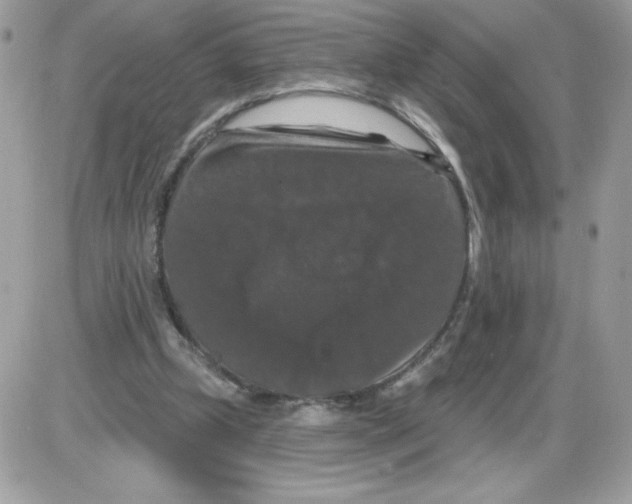 X0000085820249200704132019