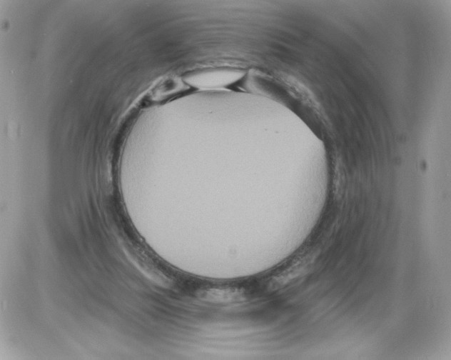 X0000085820251200704132019