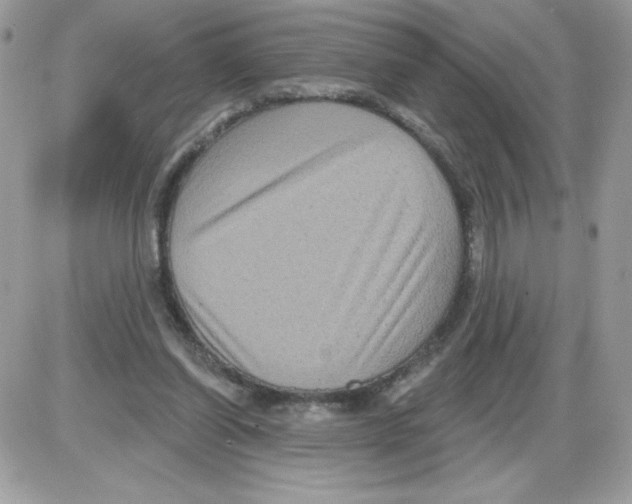 X0000085820254200704132019