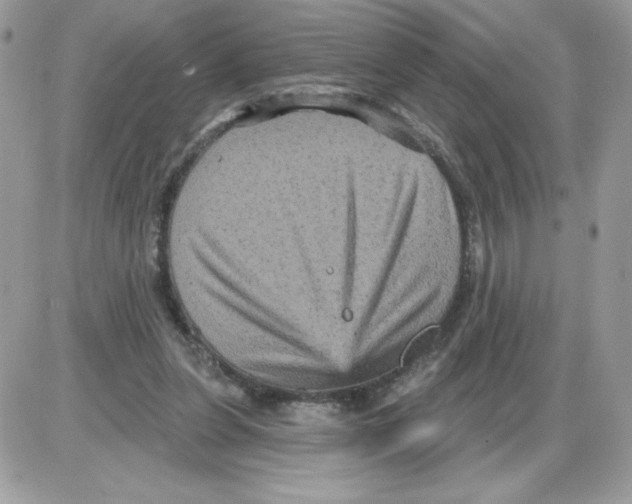 X0000085820255200704132019