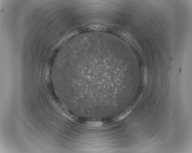 X0000085820266200704132019