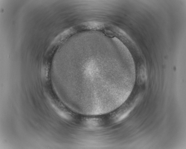 X0000085820268200704132019