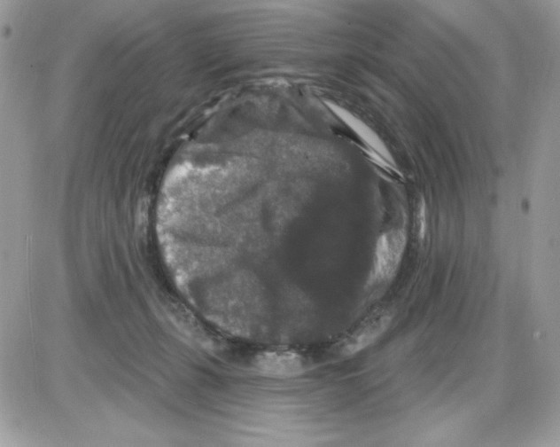 X0000085820271200704132019