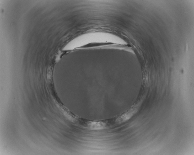 X0000085820277200704132020
