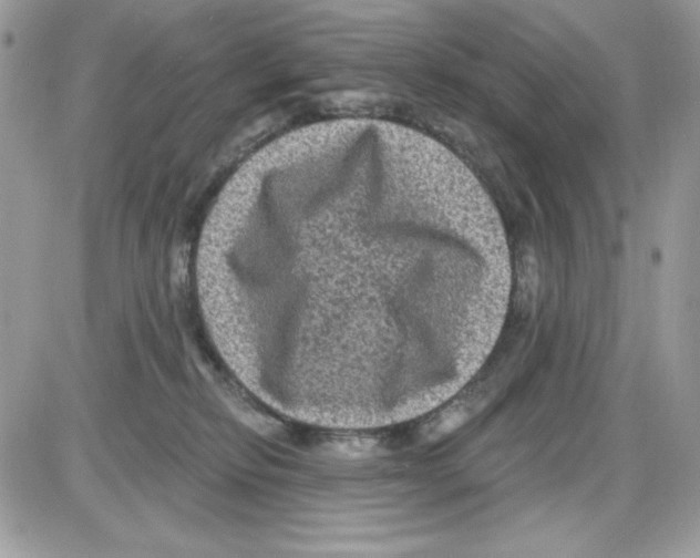 X0000085820278200704132020