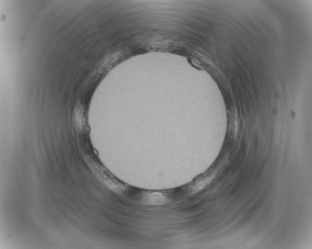 X0000085820287200704132020