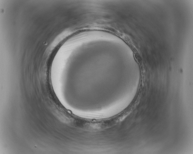 X0000085820295200704132019