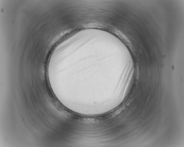 X0000085820298200704132019