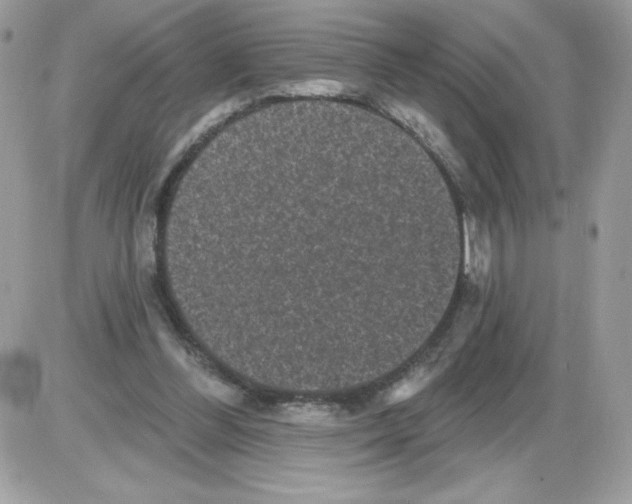 X0000085820300200704132019