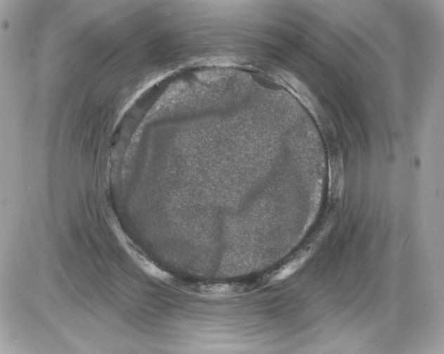 X0000085820301200704132019