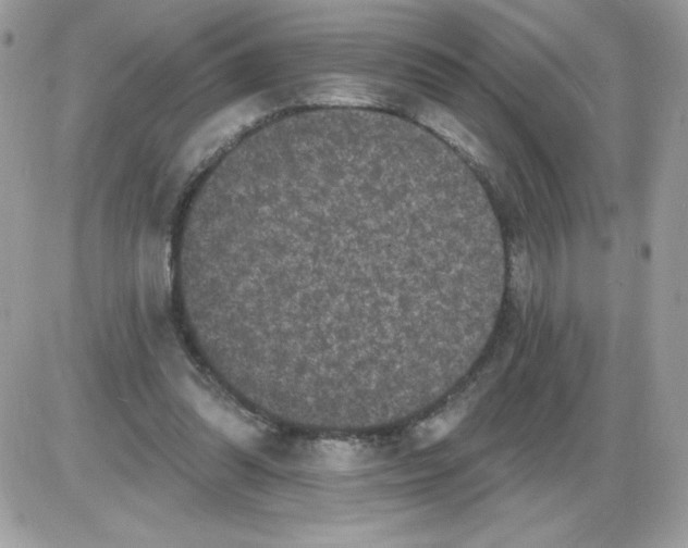 X0000085820302200704132019