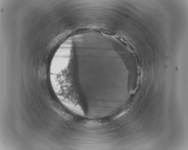 X0000085820303200704132019