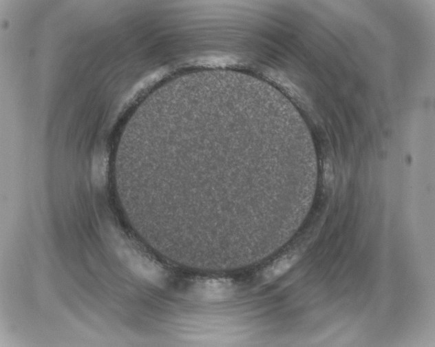 X0000085820304200704132019