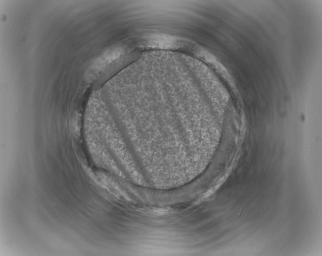 X0000085820305200704132019
