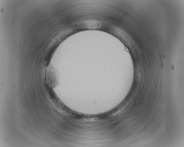 X0000085820307200704132019