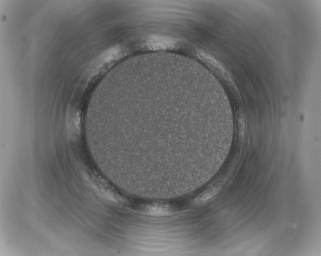 X0000085820308200704132019
