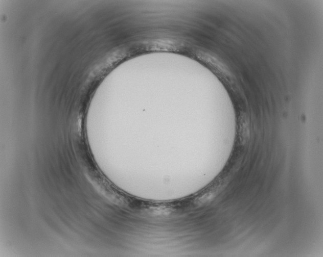 X0000085820310200704132019