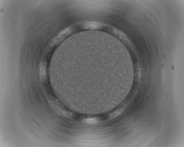X0000085820312200704132019
