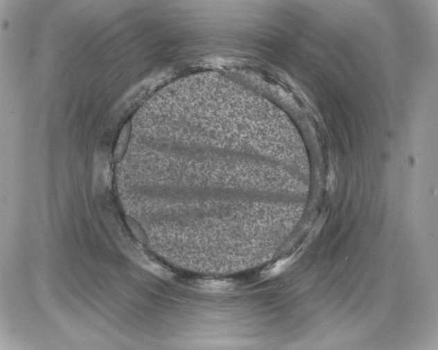 X0000085820313200704132019