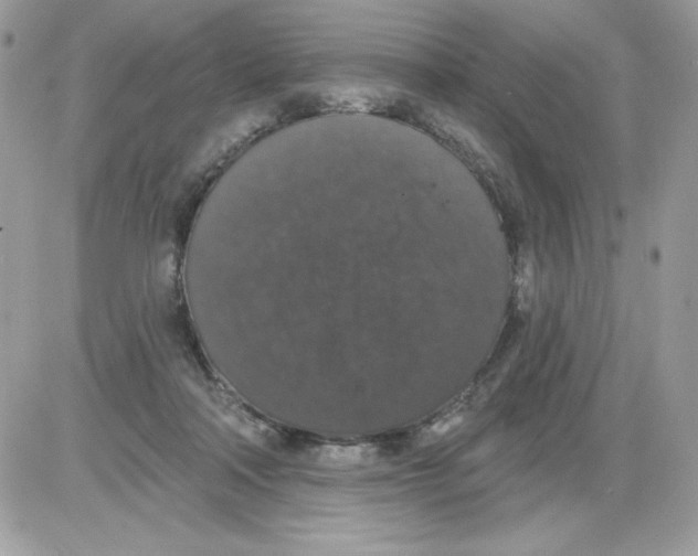 X0000085820314200704132019