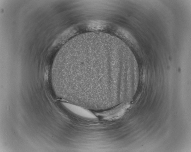 X0000085820315200704132019