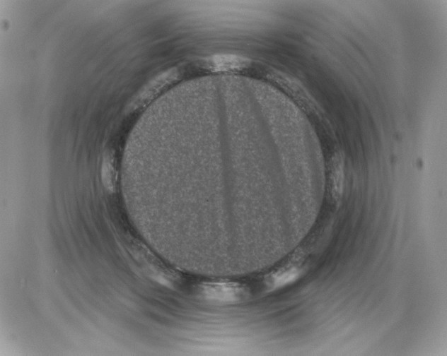 X0000085820316200704132018