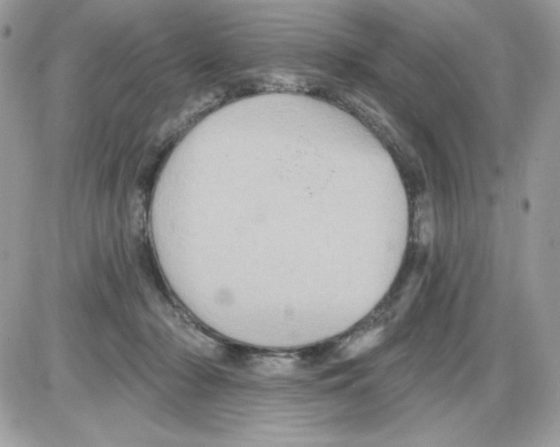 X0000085820318200704132018