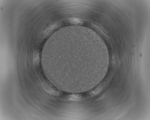 X0000085820320200704132018