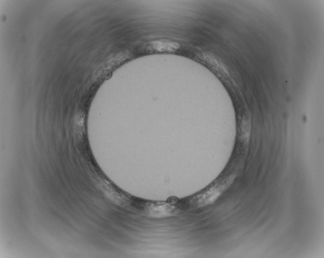 X0000085820321200704132018
