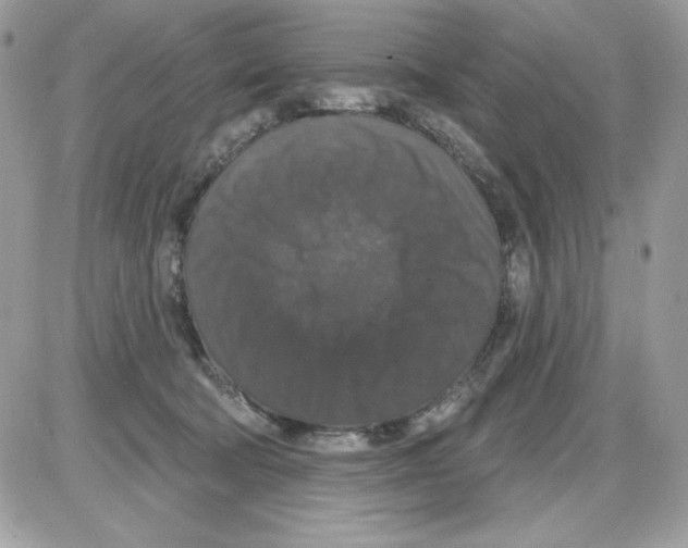 X0000085820322200704132018