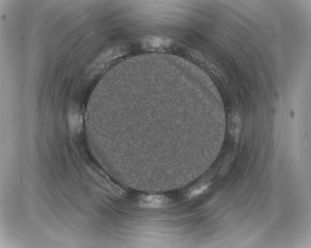 X0000085820324200704132018