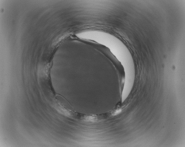 X0000085820325200704132018