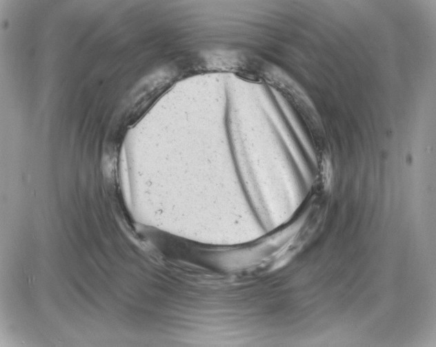 X0000085820329200704132018