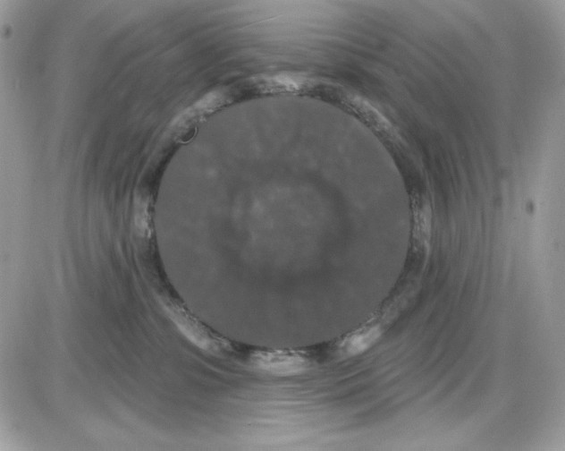 X0000085820331200704132018