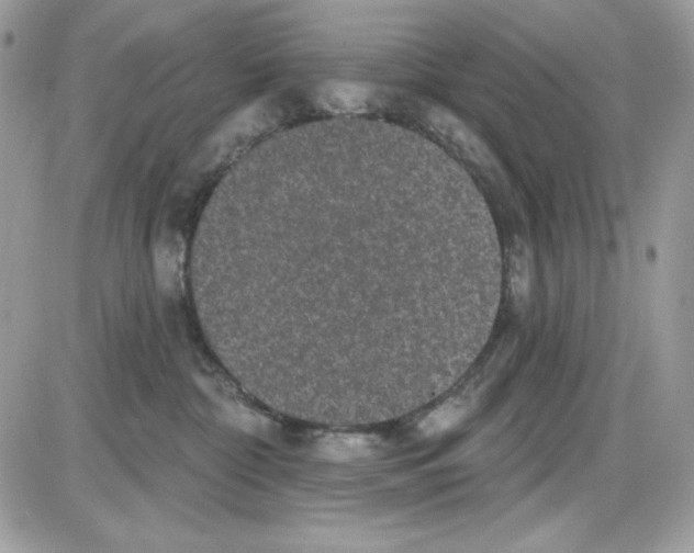 X0000085820332200704132018
