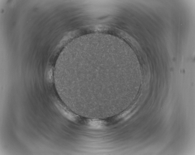 X0000085820336200704132018