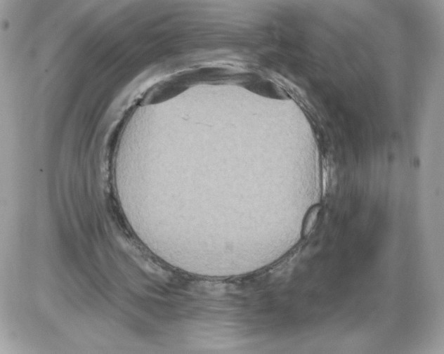 X0000085820339200704132017