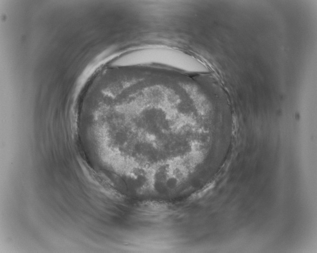 X0000085820343200704132017