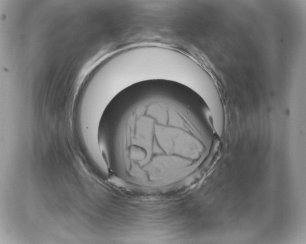 X0000085820344200704132017