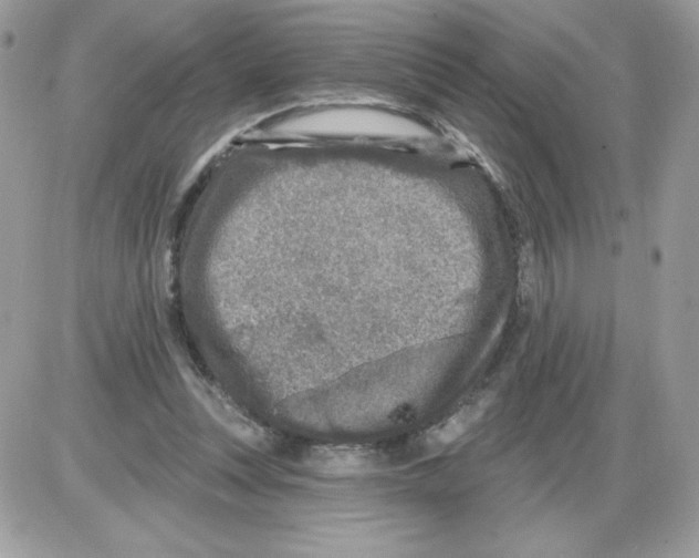X0000085820351200704132018