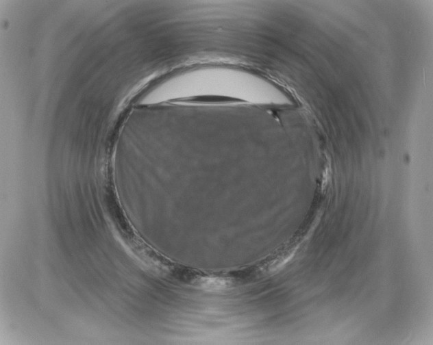 X0000085820352200704132018