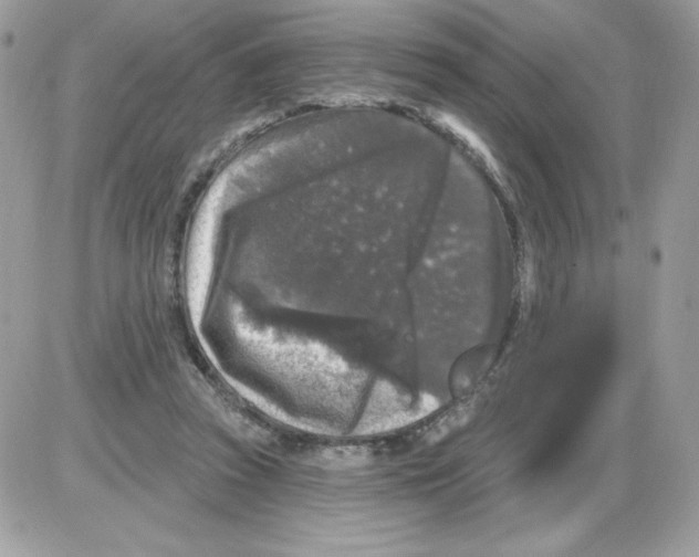X0000085820353200704132018