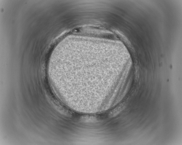 X0000085820354200704132018