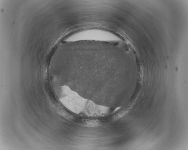 X0000085820355200704132018