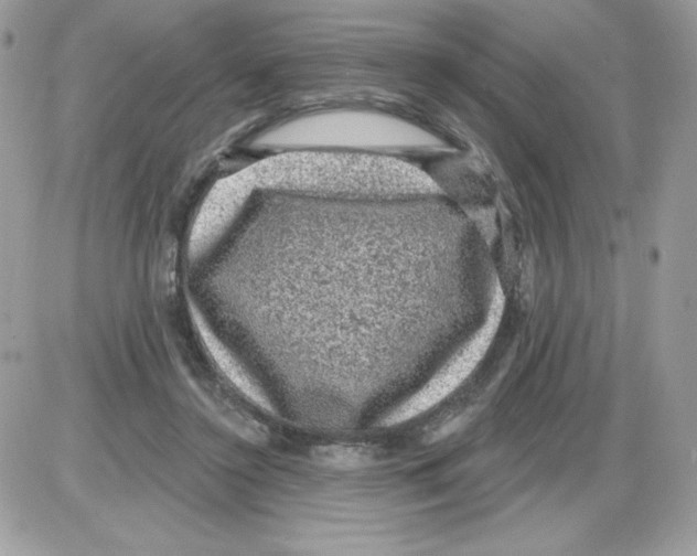 X0000085820356200704132018